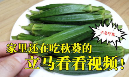 秋葵视频,揭秘秋葵的营养与美味，轻松掌握烹饪技巧
